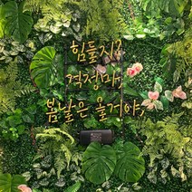 몬스테라 벽꾸미기 잔디조화 인테리어 생일파티 친구생일 현관