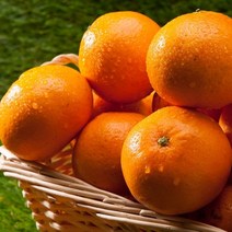팜쿡 [팜쿡] 제주직송 타이백감귤 4.5kg(2S/소과)
