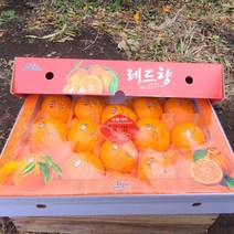 제주농장 프리미엄 고당도 레드향 가정용 제주직송 2kg 3kg 5kg, 2kg(8-13과)