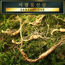 사랑품산삼 산양산삼 산양삼 6-15년근 (자연산 모양 장뇌삼 파삼), 16번_산양삼 15년근 2뿌리