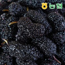 [프레시데이] [농협] 장성 홍길동 오디 냉동 생과 프리미엄 6Kg (1kgx6팩), 상세 설명 참조