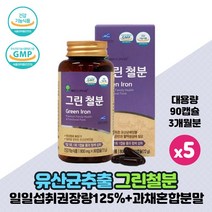 철분 영양제 비헴철 비햄철 철분제 Green Iron 임산부 수유부 여성 남성 임신준비 어린이 청소년 성장기 철분섭취 애플트리김약사네 그린 철분 건강기능식품, 90캡슐 x 5개