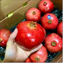 석류 생과 대과 5kg 석류 과일, 1개, 상세페이지 참조, 상세페이지 참조