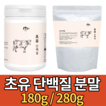 초유밀 소 초유 단백질 프로틴 유산균 분말 먹는법 mbp 가루 단백질 엠비피 추천 180g 280g