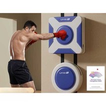 가정용샌드백 멀티 벽걸이형 순발력 소형 펀치 연습, 블루 화이트 복싱 콤비네이션 팩