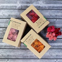 스칸디아모스 이끼 씨클라멘 150g, 1개