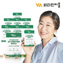 비타민마을 기억력혈행 은행잎추출물 생유산균 240캡슐 8박스, 30정