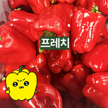 프레치 국내산 아삭하고 싱싱한 홍피망, 5kg (보통), 1개