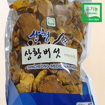 유기농 장수상황버섯 알뜰형(지퍼팩포장) 500g _지리산 상황보감, 1개
