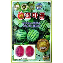 헬프팜 꼬마꿀 10립 애플수박 수박 씨앗 종자 KS종묘