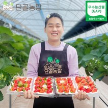 충남 논산 우수농산물(GAP) 인증 설향딸기, 설향 / 800g내외 / 24~30입 / 25g내외
