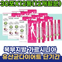 복부지방 단기간 유산균다이어트 가르시니아 캄보지아 20대 30대 40대 직장인 사무직 여성 남성 프로바이오틱스 내장지방 피하지방 술배 남자뱃살 군살 나잇살