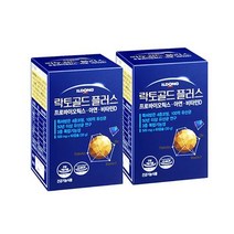 일동제약 락토골드 플러스 500mg x 60캡슐 2개, 단품, 단품