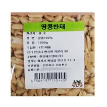 땅콩반태(한진 1K)