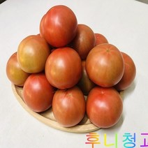 후니청과 신선한[특품]완숙 찰토마토(동양종), 1box, 5kg(3번)동양종
