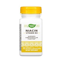 네이처스 웨이 Nature Way 나이아신 비타민 B3 100 mg 100 캡슐, 1개, 기본