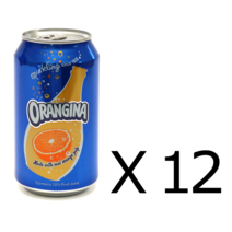 오랑지나 탄산음료 355ml 12캔 오렌지음료 탄산음료 오란지나 뚱캔 코스트코 특판용 오렌지 스파클링 추천템