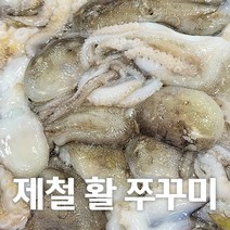 [제철별미] 산지직송 서해안 국내산 100% 활쭈꾸미 1kg