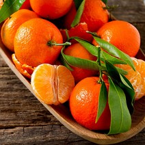 제주 홍매향 홍미향 썬레드, 홍매향5kg, 1개