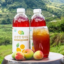 3년숙성 해밀농원 황매실청 매실원액 (1000ml X 2병), 황매실청 1000ml X 1병