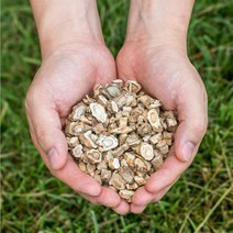 국산 뼈관절약초 두충나무껍질 우슬뿌리 독활(땅두릅) 홍화씨(홍화자) 접골목(딱총나무) 차, 국산 독활(땅두릅), 300g