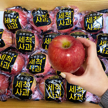 햇 부사 세척사과 3kg 5kg 가정용 프리미엄, 가정용 흠집실속 5kg, 꼬마과(25~28)