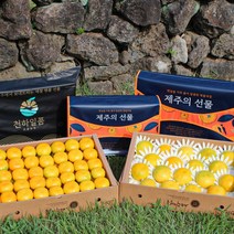 명품패키지 귤담원 과일 명절 선물세트 황금향, 1박스, 05.황금향 선물세트 중대과 2.5kg+2.5kg