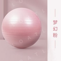 짐 볼 요가 필라테스 코어 운동 스트레칭, 55cm 판타지 핑크 요가 볼