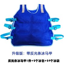 온도내림 방호복 야외 조끼 용접공 요리사 냉방기 매직기기 아이스팩 여름 피서 방 옷