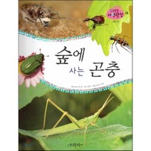 꿈틀꿈틀 자연관찰 78 숲에 사는 곤충 (양장), 추천 감수 장이권 / 글 이향안 / 주요 사진 이수영, 한국톨스토이