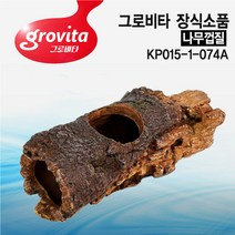 다푼다 그로비타 나무껍질 KP015-1-074A/어항/수조, 1개