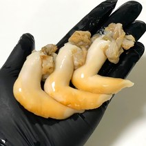 여수 노랑새조개 손질 완료 500g 노란 굵은이랑 새조개 회 샤브샤브, 1개