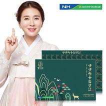 농협 동의삼 생생녹용침향단 3.75g x 60환