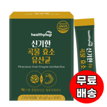 헬씨허그 신기한 곡물 효소 유산균 (3gx30포) 보부상b2b P0000BQI, 01. 곡물효소유산균 (12개월분)