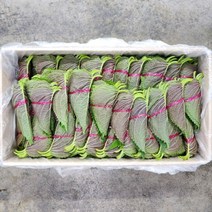 깻잎 10단
