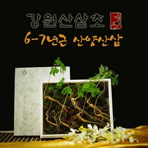 강원산삼초 국산 산양산삼 6-7년근 산양삼먹는법 장뇌삼먹는법 효능, 1세트, 산양산삼 6-7년근 (5주)