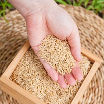 국산 귀리쌀 유기농 햇잡곡 무농약 소포장 쌀귀리, 귀리쌀(유기농) 2kg