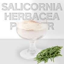더건강한 샵 국내산 함초 가루 분말 퉁퉁마디, 300g, 1팩
