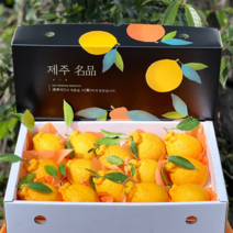 제주도 햇 한라봉 5kg(실중량4.5kg) 중과 대과 중과 대과, 한라봉(대과) 4.5kg 선물용, 1개