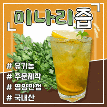 [득템몰] 유기농 돌 미나리즙원액100% 건강음료 명절선물세트 독소제거 해독주스 건강즙, 미나리즙 1박스