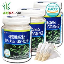 HACCP 식약처 인증 우리가족 유산균 유산균의 먹이 l.람노서스gg유산균 프락토올리고당 함유 락토바실러스 람노서스 GG유산균 내몸속 건강한 유익균 + 슈퍼푸드.com 연자육티백, 3세트, ( 병 200g + 1g )