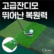 [TEE무료증정] 실내 골프 연습 매트 스윙 실내용 인조잔디 바닥 세트 실외 골프 타석 매트 셋트 실외용, 1. 베이직 잔디 기본형 (TEE포함)