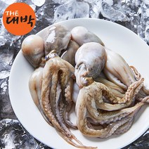 자연산 쭈꾸미 500g 제철 알 주꾸미 샤브샤브 야채세트, 주꾸미(급냉) 500g