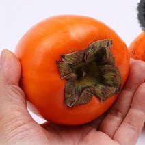 누리농산 대봉감 10kg 대봉시