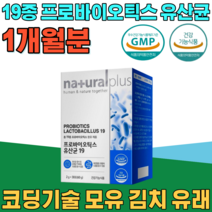 식약처 인증 19종 코팅 기술 프로 바이오 틱스 모유 김치 유래 유산균 L - 프로린 프리 프락토 올리고당 자일로 가루 파우더 분말 스틱 건강 기능 식품 영양 보충 제 파는곳 추천, 1