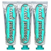 부케가르니 구취 케어 프레쉬민트향 치약, 70g, 6개