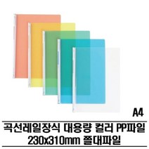 기타 레일클리어홀더 대용량 PP파일(A4) 300P 쫄대파일, 청색
