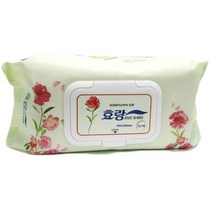 효랑 물티슈 엠보싱 캡형 60매x10팩 빅사이즈 (20x30cm) 도톰한 대용량 어르신 환자용, 1박스