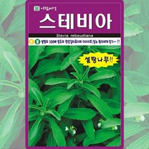 스테비아(허브)씨앗 50립, 1개