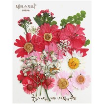 압화 컬러믹스 종합팩 꽃모음 17종 압화공예 액자 레진공예, 레드1